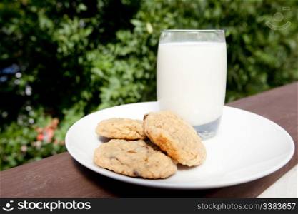 A plate of milk and cookies in an outdoor setting