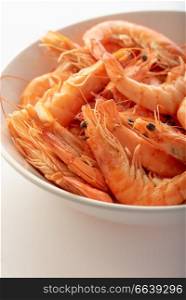 a plate with boiled shrimps in a white background