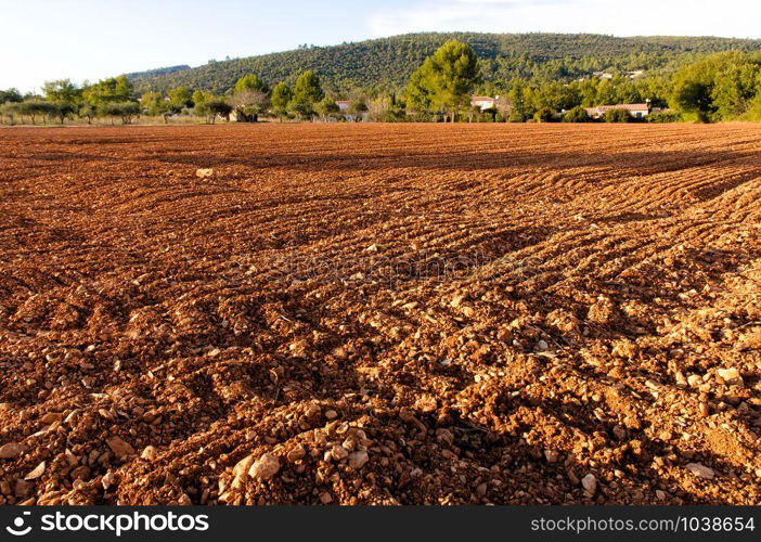 A plowed field in Provence, in GAreoult near Brignoles in France, at sunset.