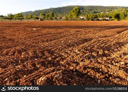 A plowed field in Provence, in GAreoult near Brignoles in France, at sunset.