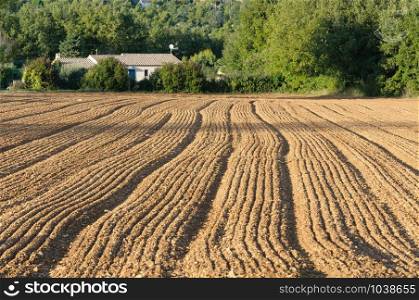 A plowed field in Provence, in Gareoult near Brignoles in France, at sunset.