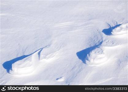 A polar bear track in the snow