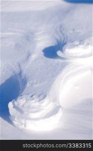 A polar bear track in the snow