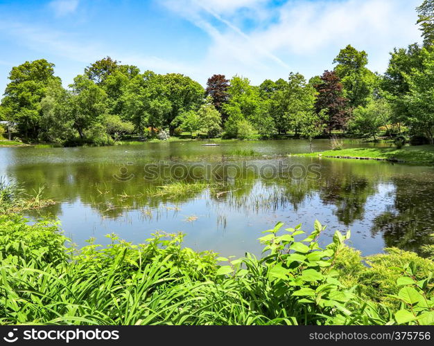 A pond in a park surrounded by trees