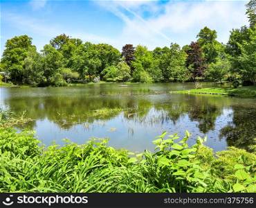 A pond in a park surrounded by trees