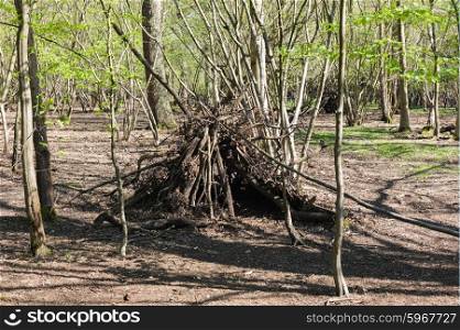 A poorly constructed wigwam in a forest