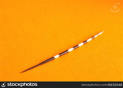 A porcupine spine