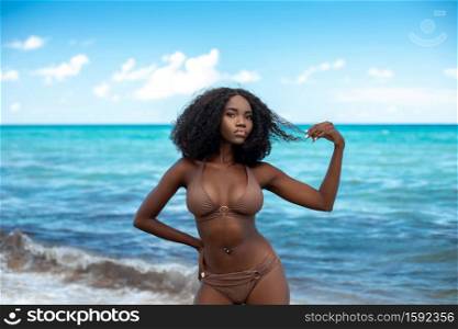 A portrait of a sensual looking attractive young black female with beautiful makeup & long curly hair posing by herself on a sunny summer day at a tropical beach wearing a brown bikini.