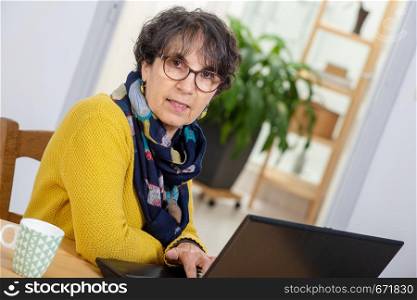 a portrait of beautiful brunette mature woman with a laptop at home