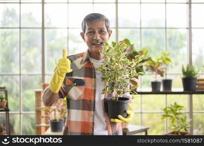 A portrait of happy senior asian retired man holding a plant in garden at home.. Portrait of happy senior asian retired man holding a plant in garden at home.