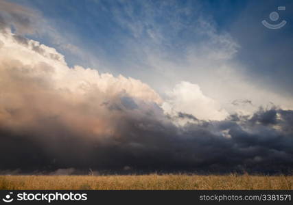 A prairie landscape with a wheat field and storm