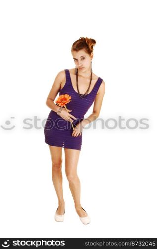 A pretty and young woman in a lilac dress with a flowers in her handstanding from the front for white background.