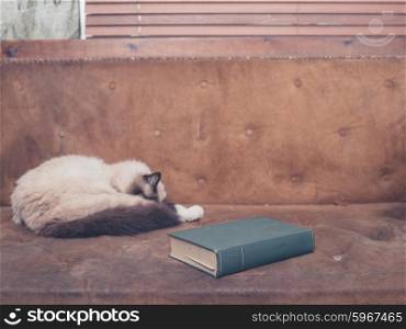A pretty cat is sleeping on an old sofa with a big green book next to it
