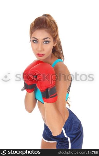 A pretty woman in exercising outfit wearing boxing cloves, standing inprofile, isolated for white background.