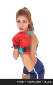 A pretty woman in exercising outfit wearing boxing cloves, standing inprofile, isolated for white background.