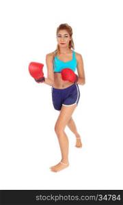 A pretty woman in exercising outfit wearing red boxing cloves, standing infront, isolated for white background.