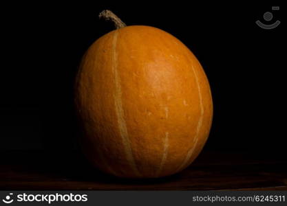 A Pumkin in the dark background, studio picture