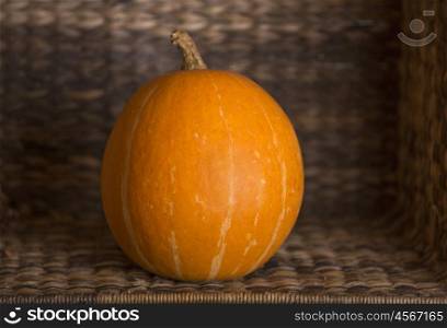 A Pumpkin in a wooden background, studio picture