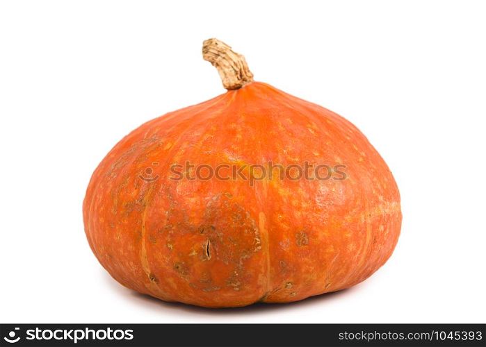 a pumpkin isolated on a white background
