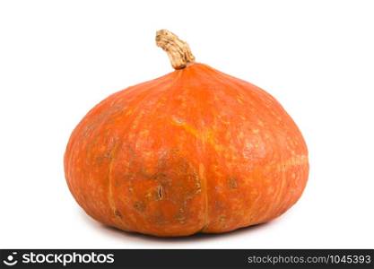 a pumpkin isolated on a white background