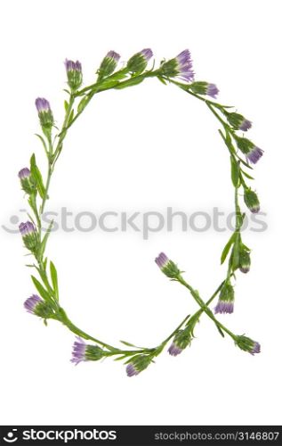 A Q Made Of Purple Flowers