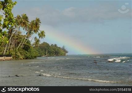 A rainbow seen from the sea shore over the sea, Moorea, Tahiti, French Polynesia, South Pacific