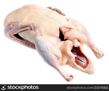 A raw, duck ready for cooking, isolated on a white background