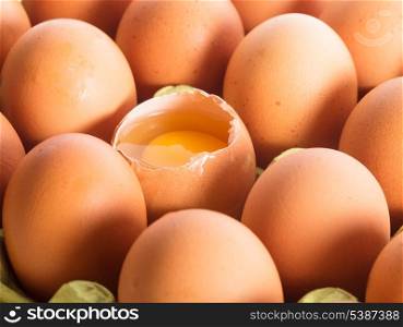 A raw egg in the shell in the cardboard shelf
