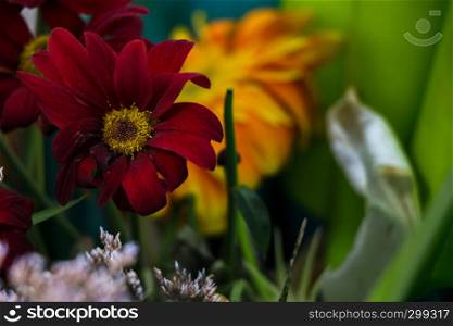 A red and yellow flower scene