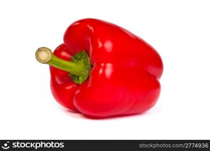 A red bell sweet pepper isolated on plain white background.