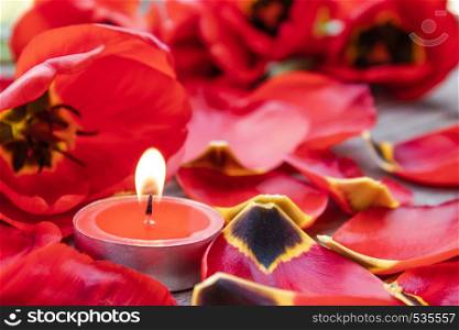 A red, burning candle is burning near the fallen petals of red tulips. The red candle is burning on the table.. A red, burning candle is burning near the fallen petals of red tulips. The red candle is burning.