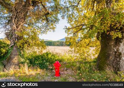A red hydrant in middle of the fields, in Provence - South of France
