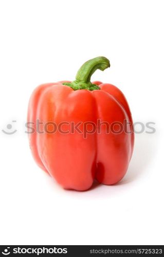 A red pepper on a white background