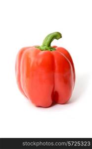 A red pepper on a white background