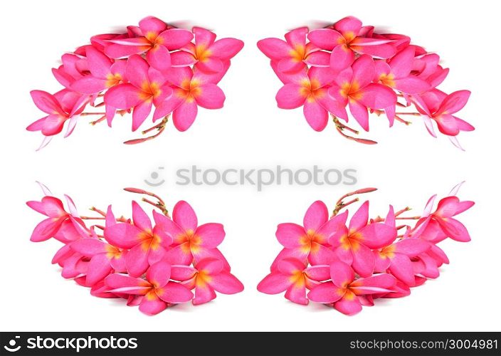 A red Plumeria flower, isolated on a white background