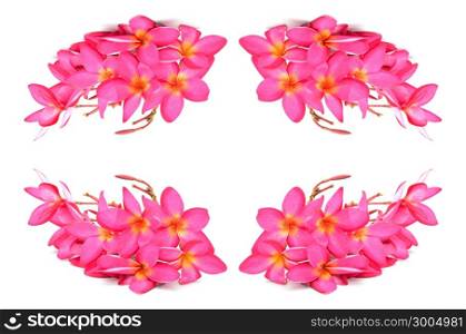 A red Plumeria flower, isolated on a white background