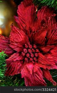 A Red Poinsettia christms holiday tree ornament with sparkeling glitter. Poinsettia Christmas Tree Decoration