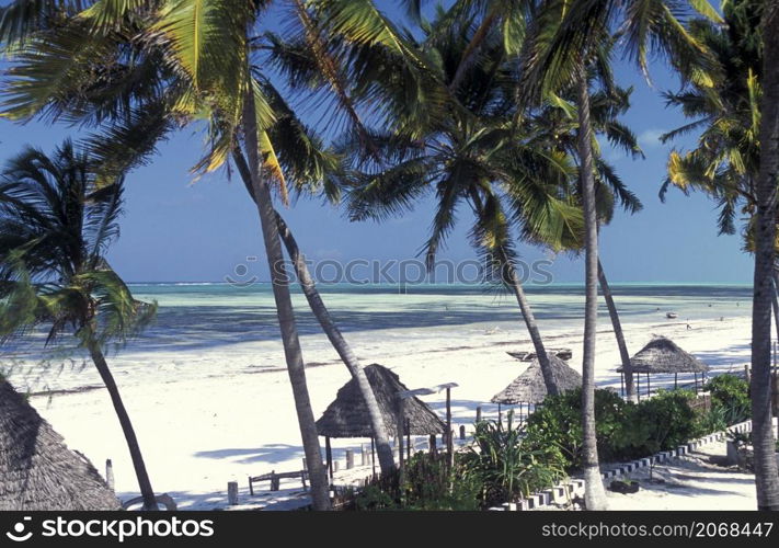 a Restaurant and Guesthouse on the Beach with the Landscape at the East Coast at the Village of Bwejuu on the Island of Zanzibar in Tanzania. Tanzania, Zanzibar, Bwejuu, October, 2004