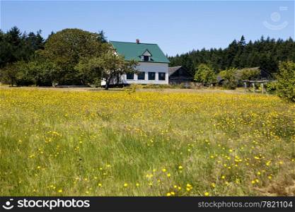 A restored pioneer farmhouse and barn located at the end of a field of wildflowers. On Waldron Island in Washington State, this organic farm runs off the electric grid.