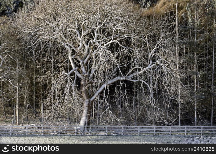 A return of Winter weather - Late Spring snowfall in the Yorkshire Dales in North Yorkshire in the United Kingdom.