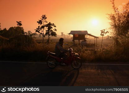 a ricefield a sunset in the winter time near the city of Amnat Charoen in the Provinz Amnat Charoen in the northwest of Ubon Ratchathani in the Region of Isan in Northeast Thailand in Thailand.&#xA;