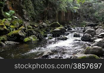 A river bordered by mossy boulders in the Hawaiian rain forest