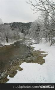A river meanders through the snow covered ground, Bled, Slovenia.