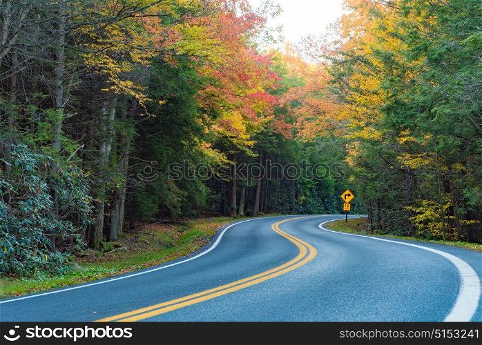 A road in the forest surrounded in colorful fall foliage