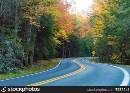 A road in the forest surrounded in colorful fall foliage