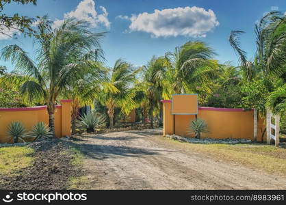 A road with palm trees around, HOLIDAY CONCEPT with palm trees and blue sky, dirt road with palm trees and space for text