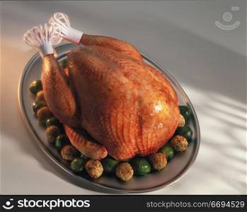 a roast turkey/chicken