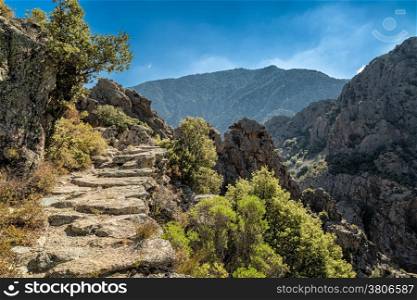 A rocky pathway on the Scala di Santa Regina trail in central Corsica near Corscia
