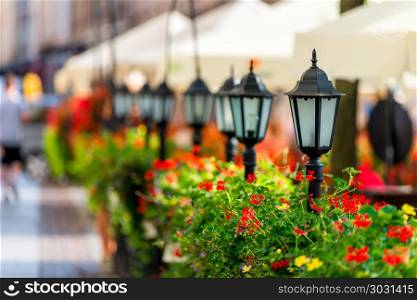 a row of street lamps in a city surrounded by beautiful flowers