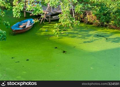 A rowboat that is parked in a canal full of green algae